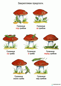 занятие на тему грибы