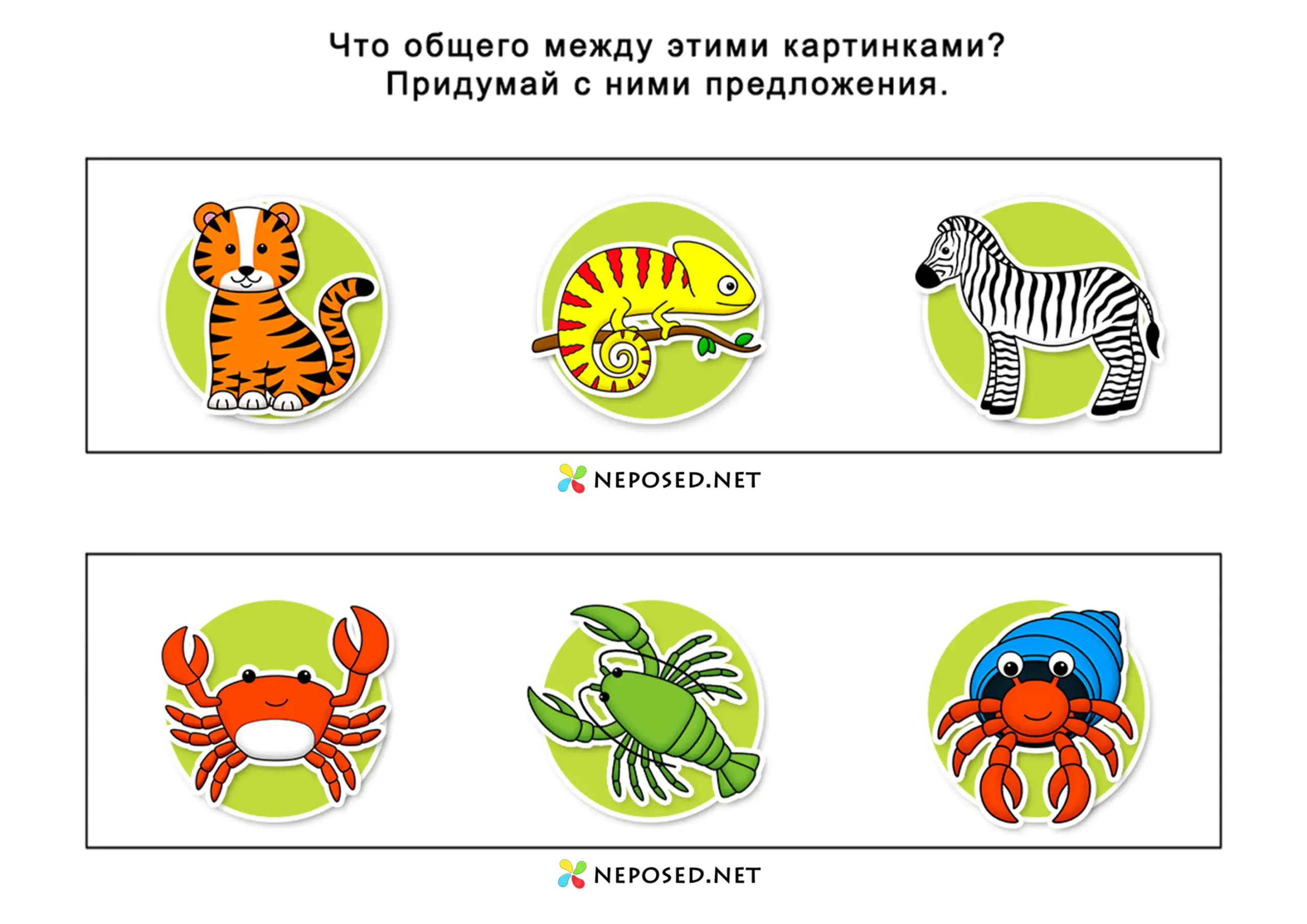 задания для детей найди что общего между предметами