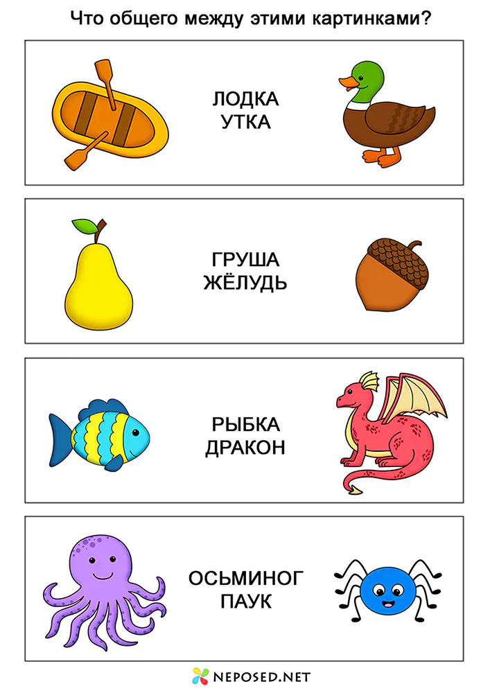 задания для детей найди что общего между предметами