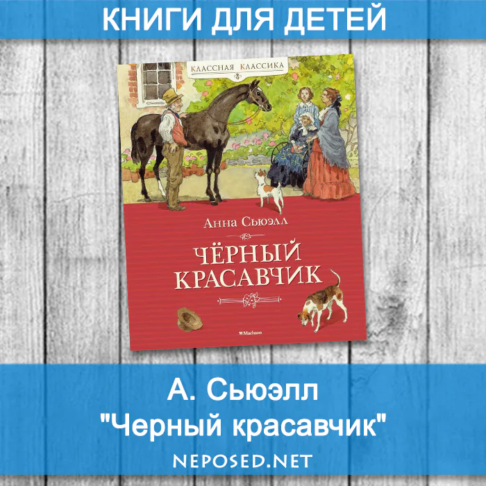 Сьюэлл Черный красавчик отзыв на книгу