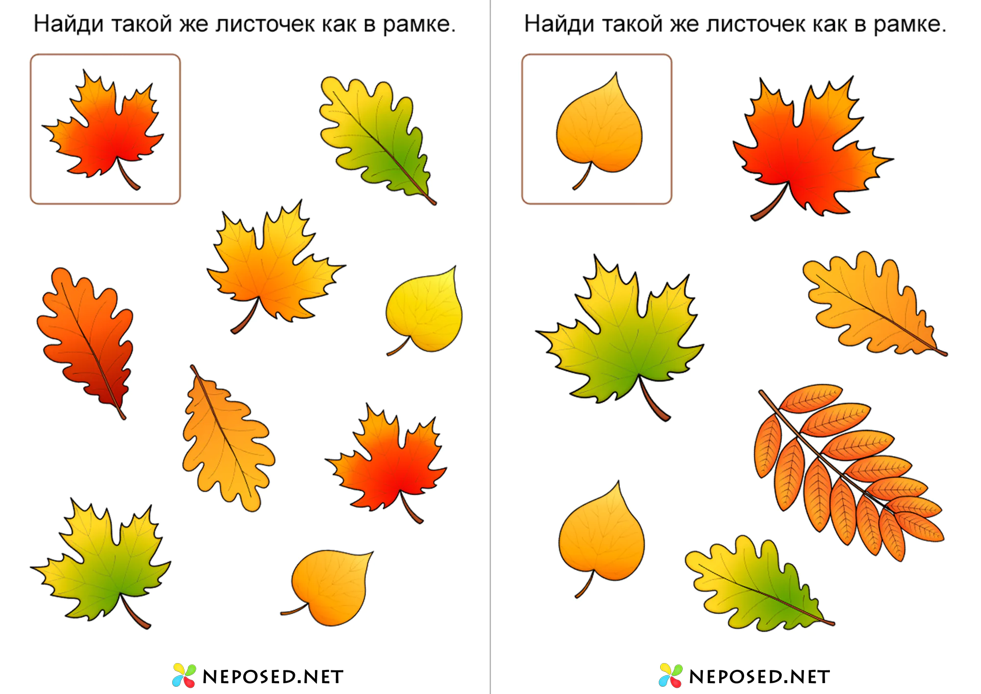 Тематический комплект Осень скачать бесплатно