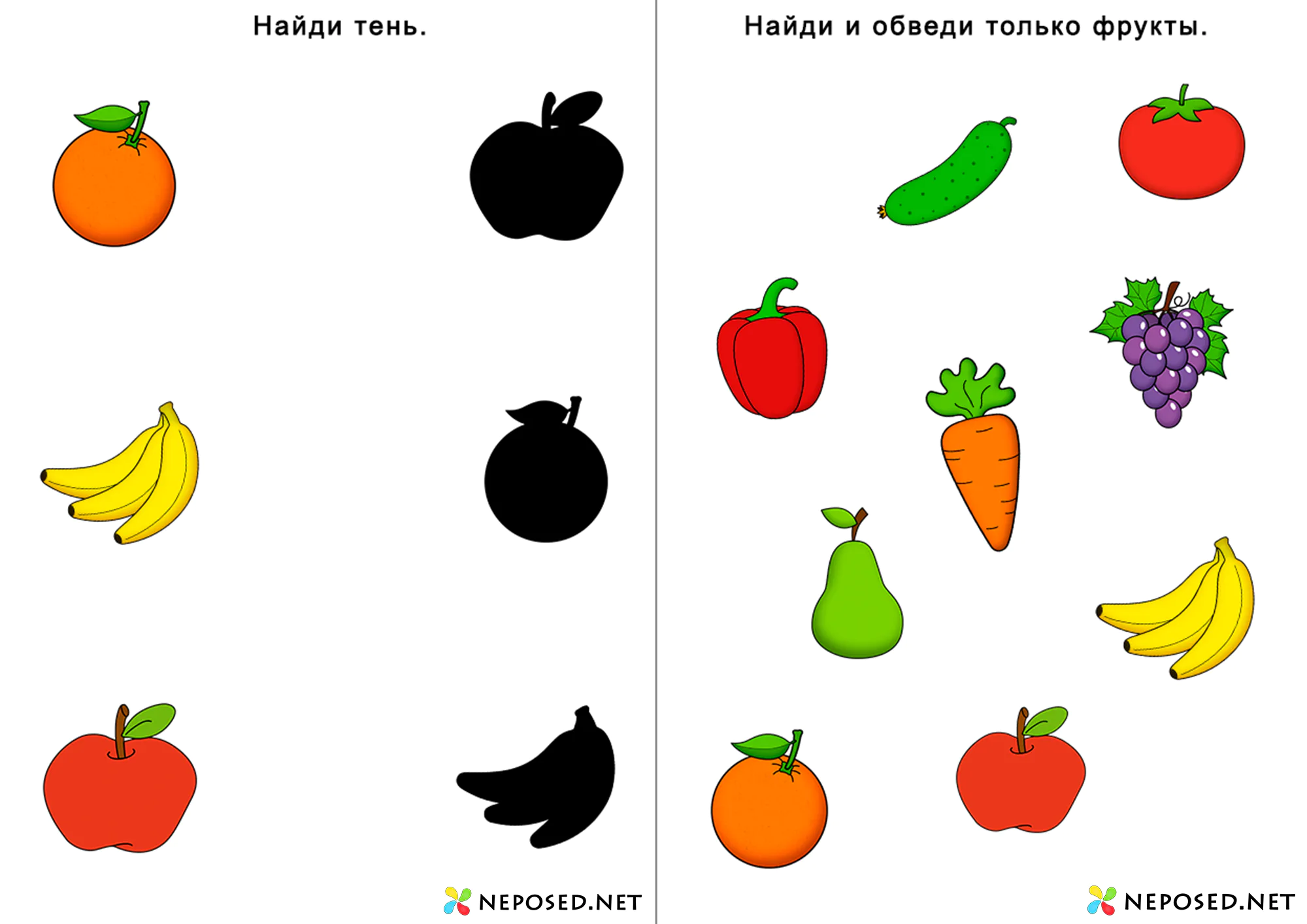 тематический комплект фрукты скачать бесплатно