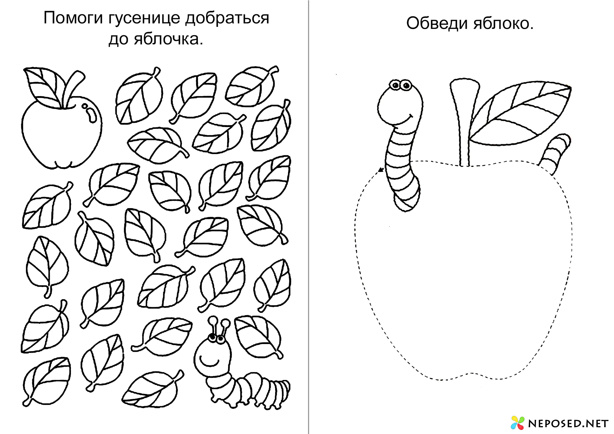 тематический комплект фрукты скачать бесплатно