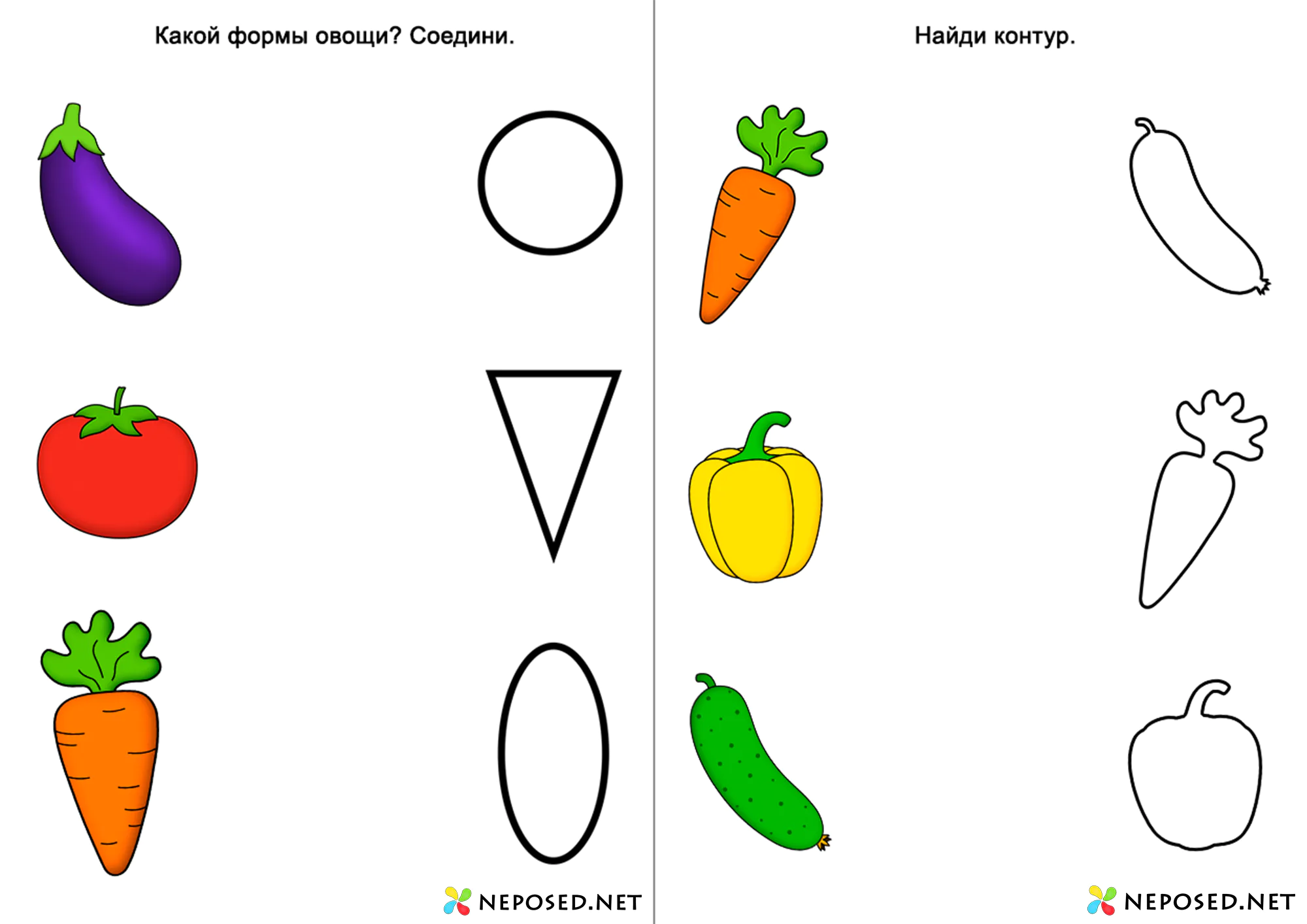 тематический комплект овощи