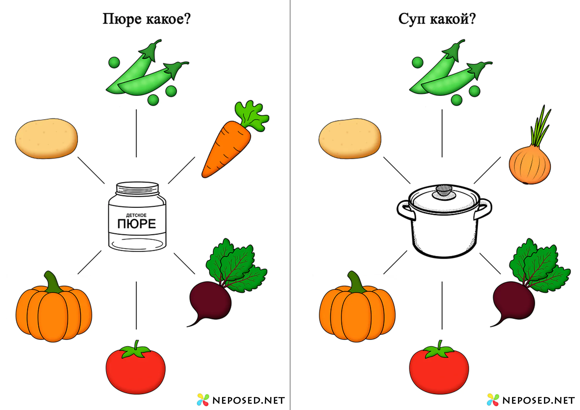 тематический комплект овощи