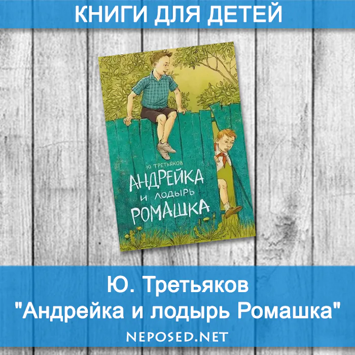 Третьяков Андрейка и Ромашка отзыв на книгу