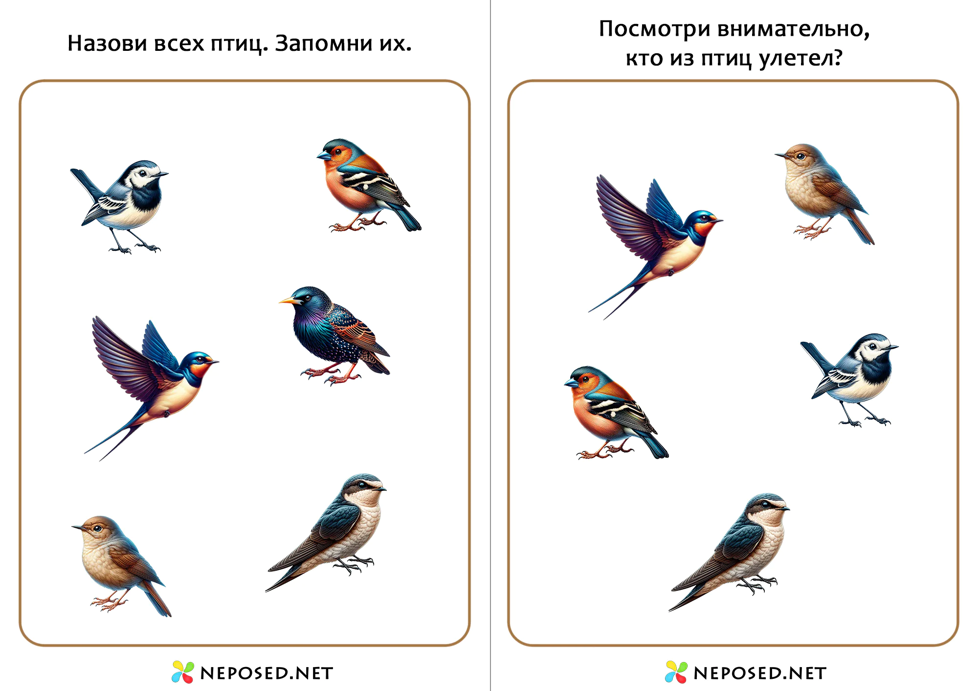 тематическое занятие перелётные птицы