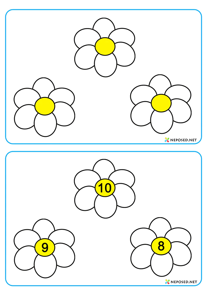 Шаблоны для счёта Цветы