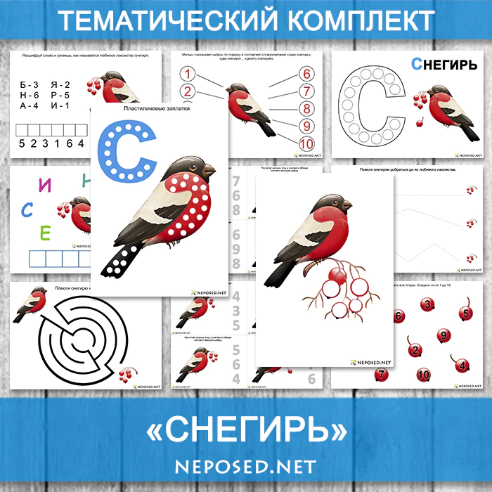 Тематический комплект Снегирь