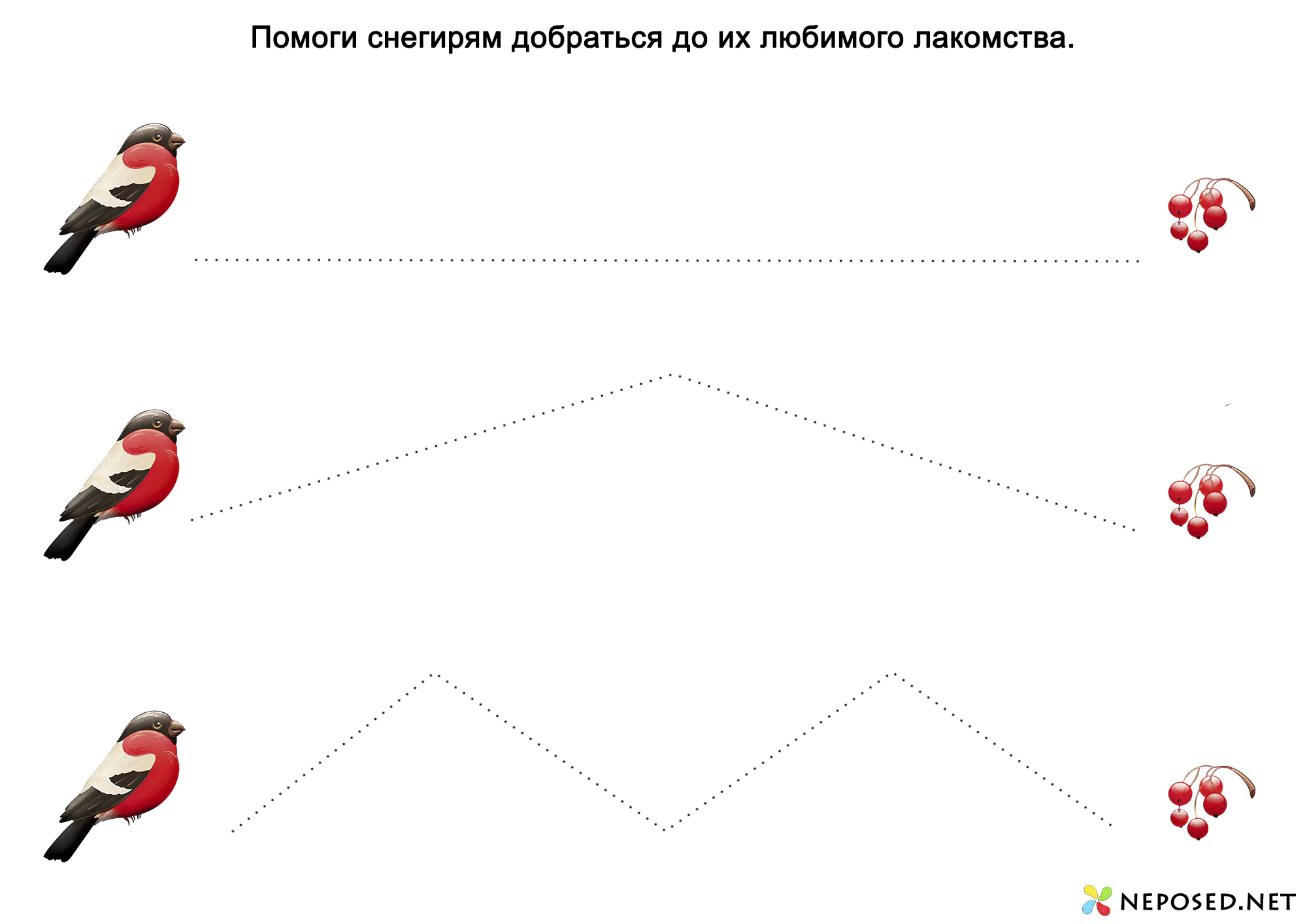 Тематический комплект Снегирь