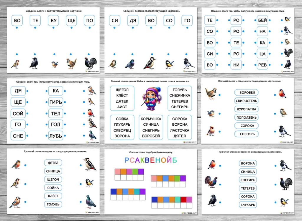 задания для обучения чтению на тему зимующие птицы