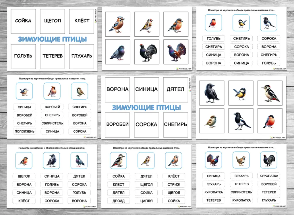 задания для обучения чтению на тему зимующие птицы