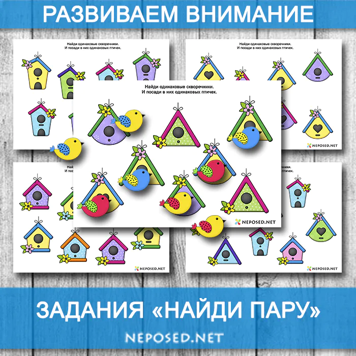 задания найди пару на тему весна, птицы