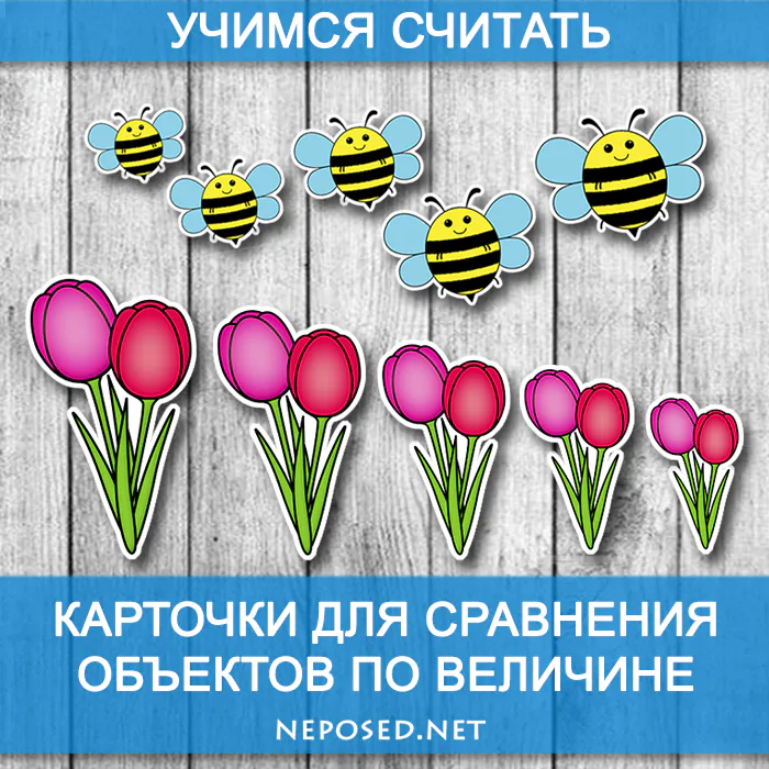 карточки разложи по размеру от большего к меньшему на тему весна